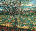 Ван Гог - Абрикосовые деревья